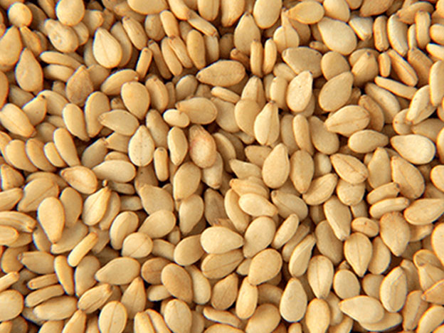White Sesame